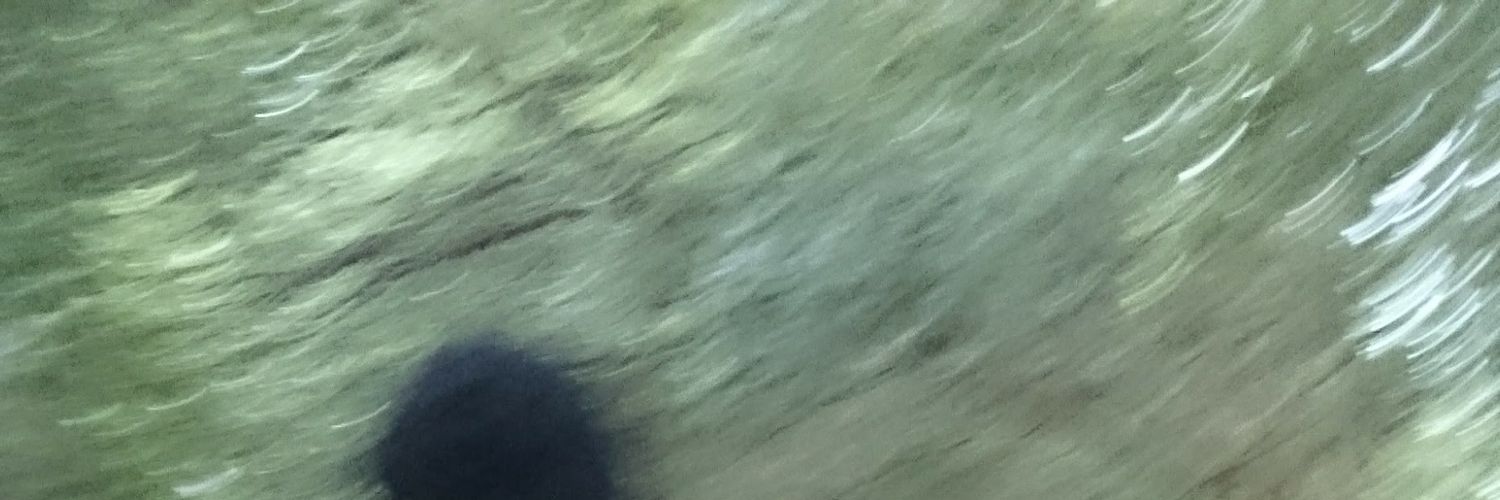 CaturNov's profile banner image