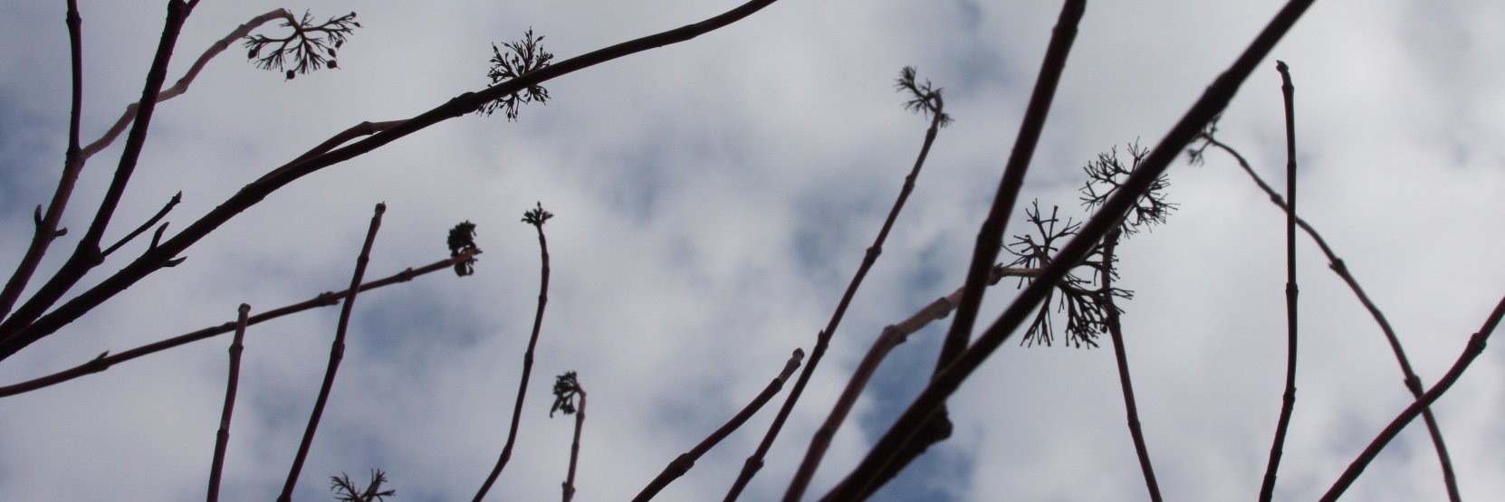 Allysajw's profile banner image
