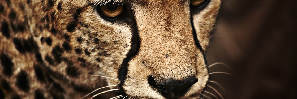 Happy girl #MagdalenBernsForever banner