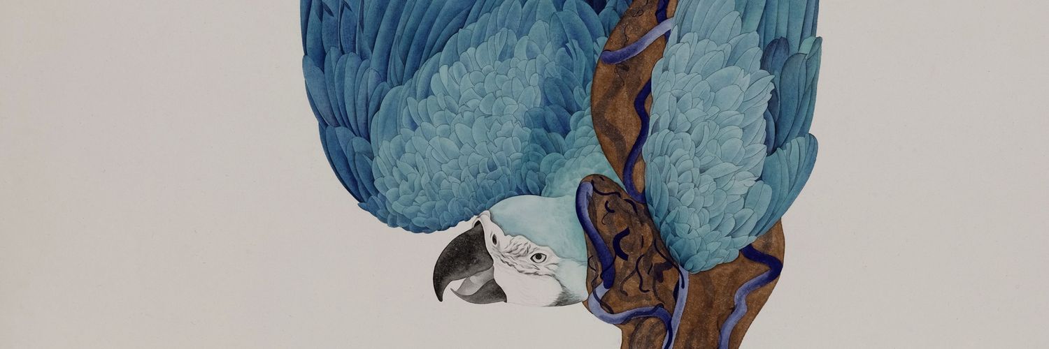 pikooooot's profile banner image