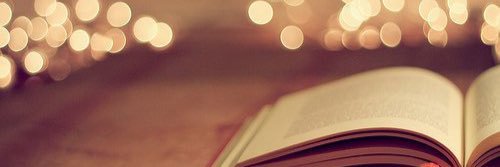 Samantha Sinico banner