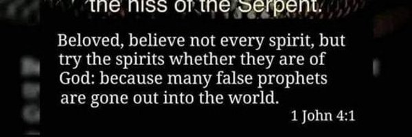 SFloridaPretzel Profile Banner