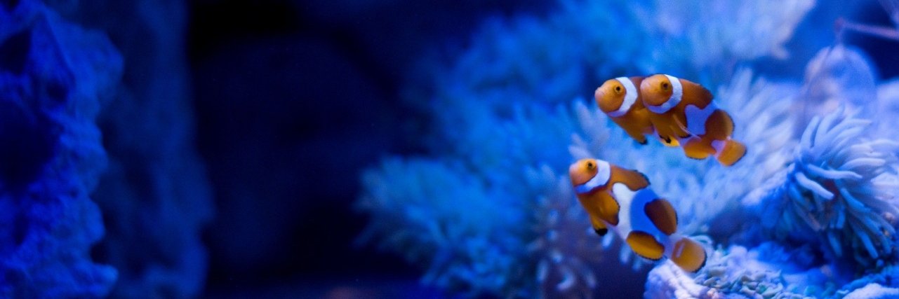 tylerya's profile banner image