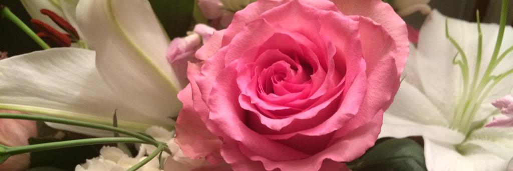 JennSimoneau's profile banner image