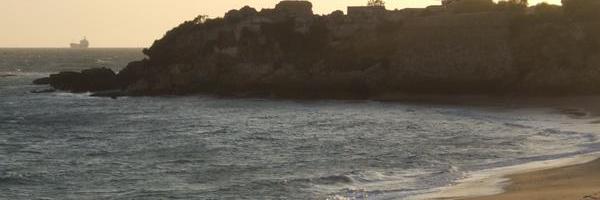 Alejandro Pinedo banner