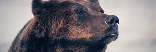 HostileSlavkov's profile banner image