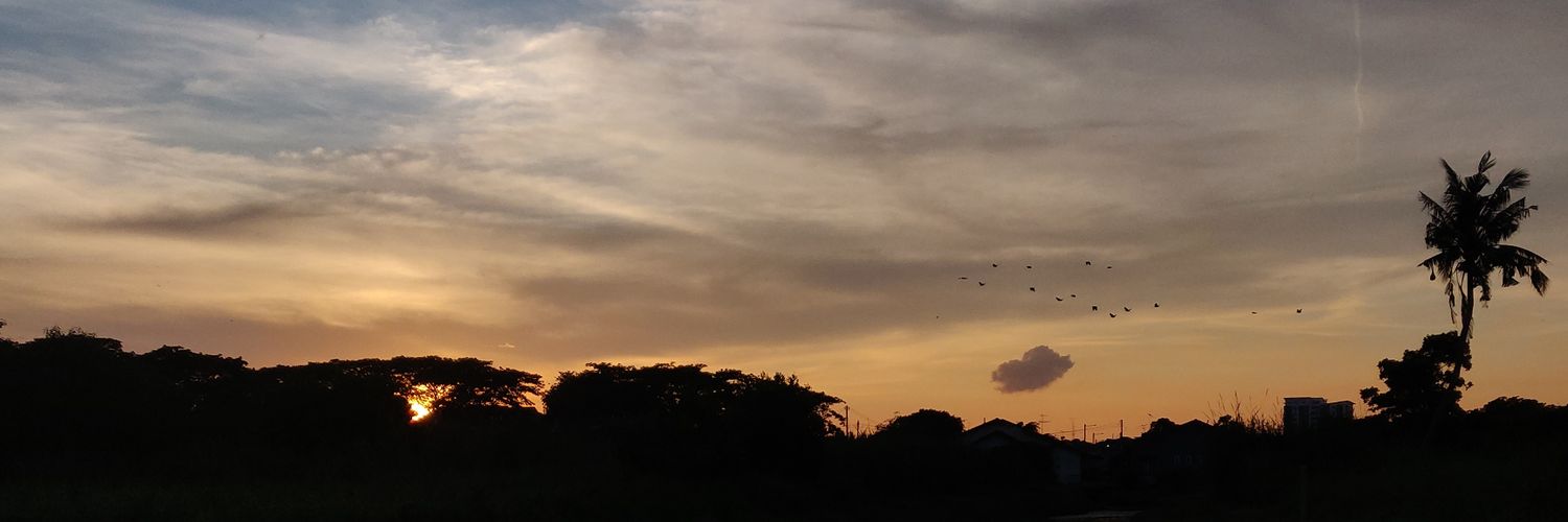 mhmdfviz's profile banner image