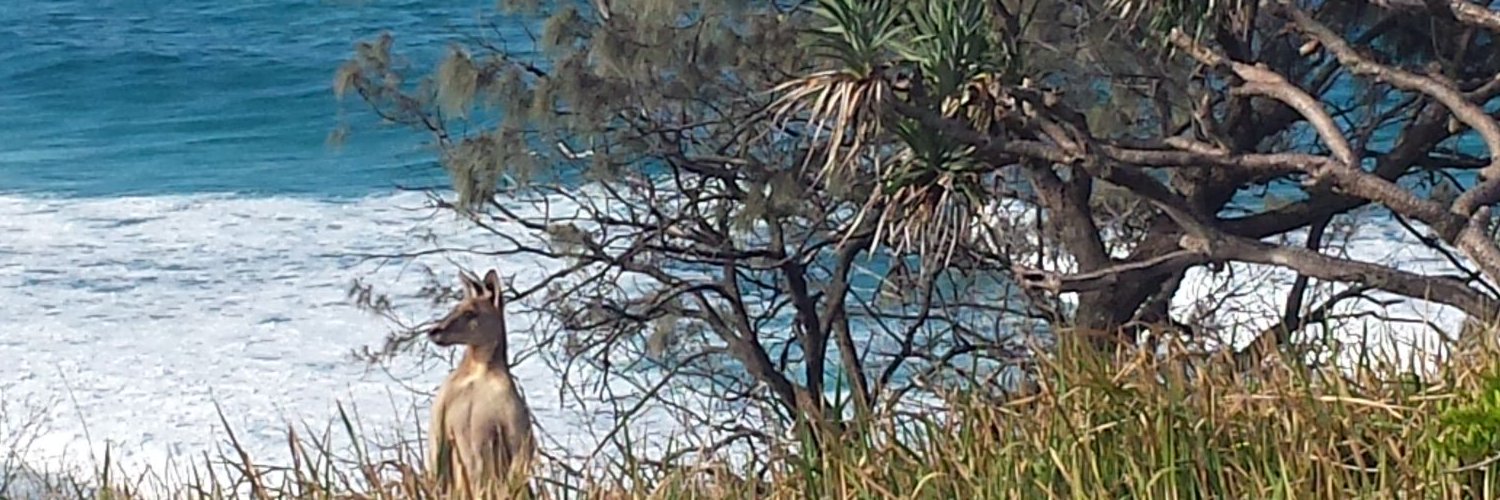 meerkatti's profile banner image