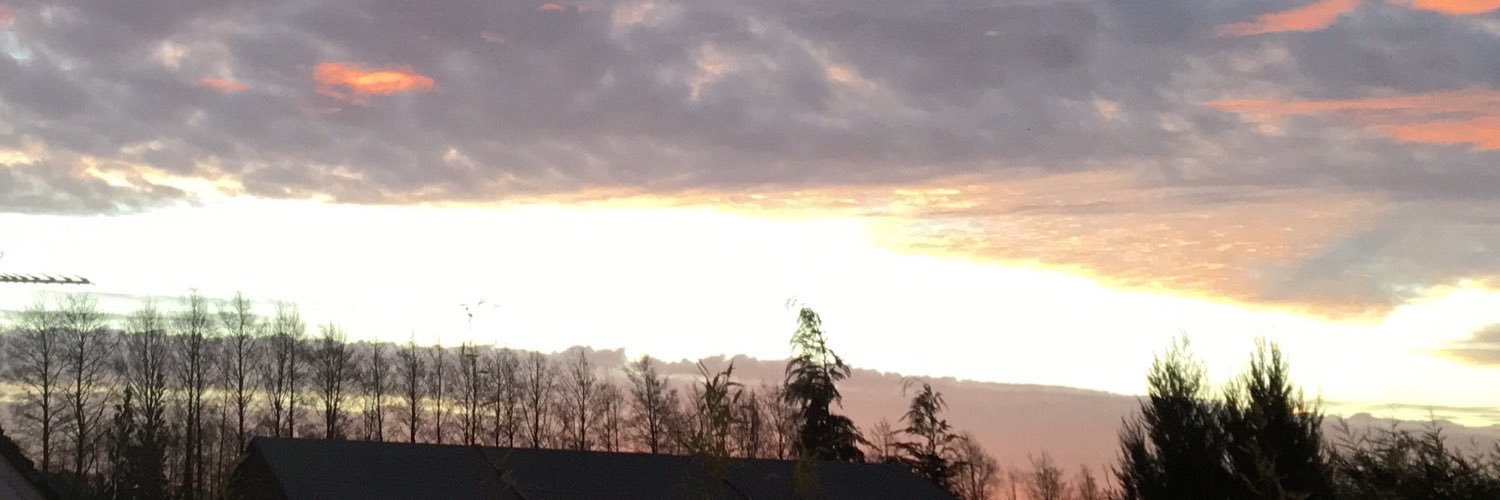 howse_mary's profile banner image