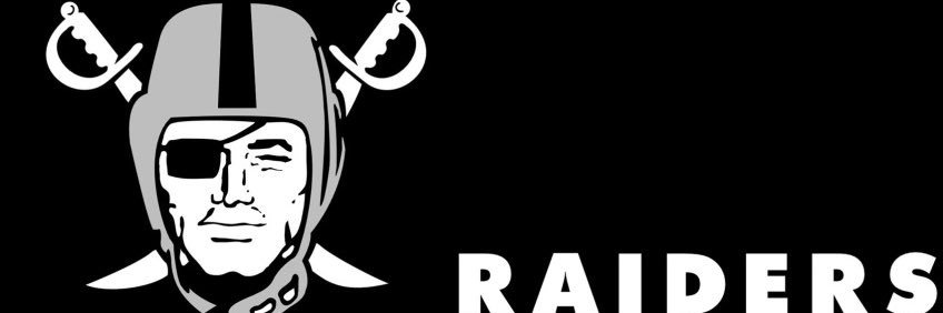 Raider Drem 🏴‍☠️☠️🐺 banner