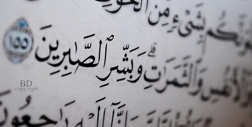 al_reem12's profile banner image