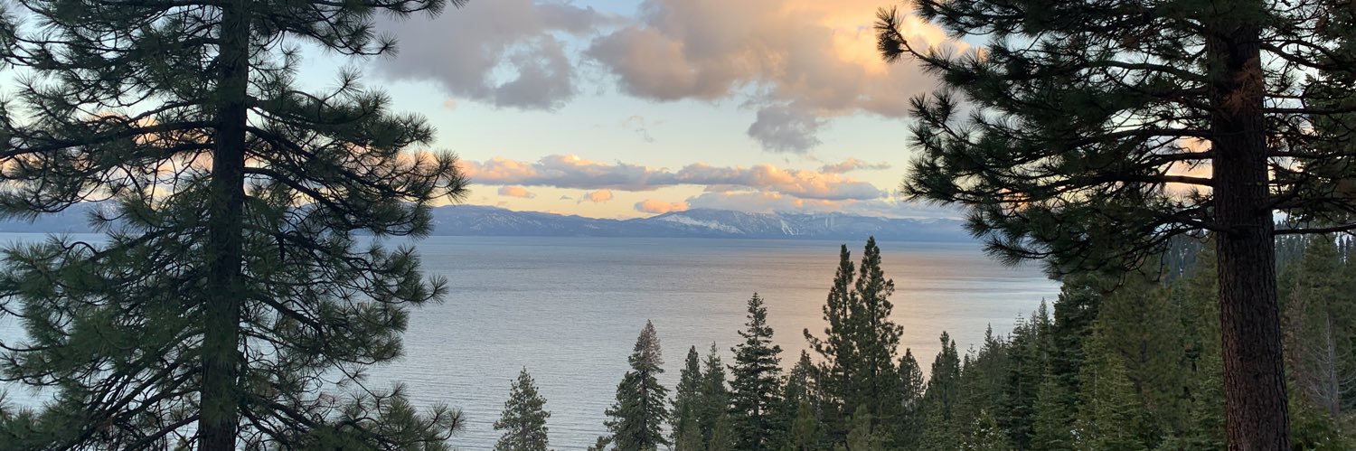SeeMichaelTweet's profile banner image