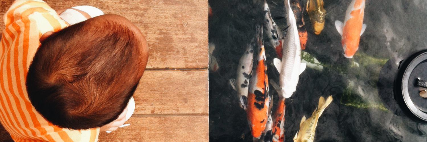 knipdee's profile banner image