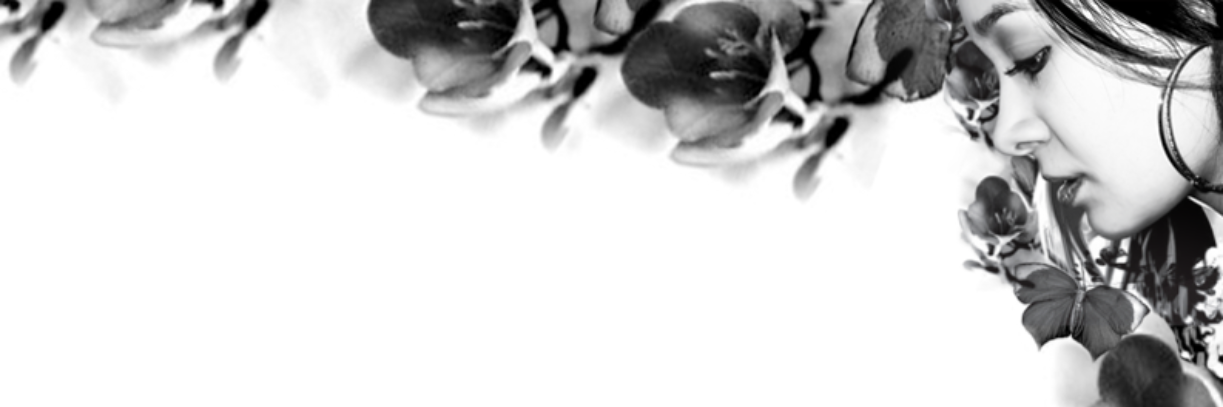 LizMozo's profile banner image
