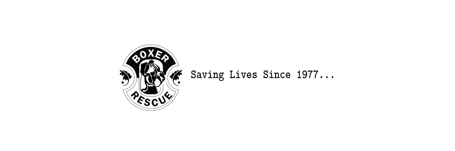 BoxerRescueLA's profile banner image