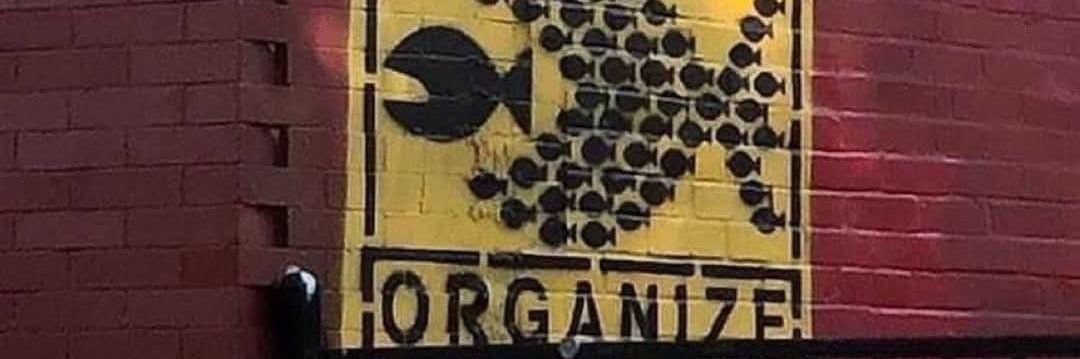 Friederike Röder banner