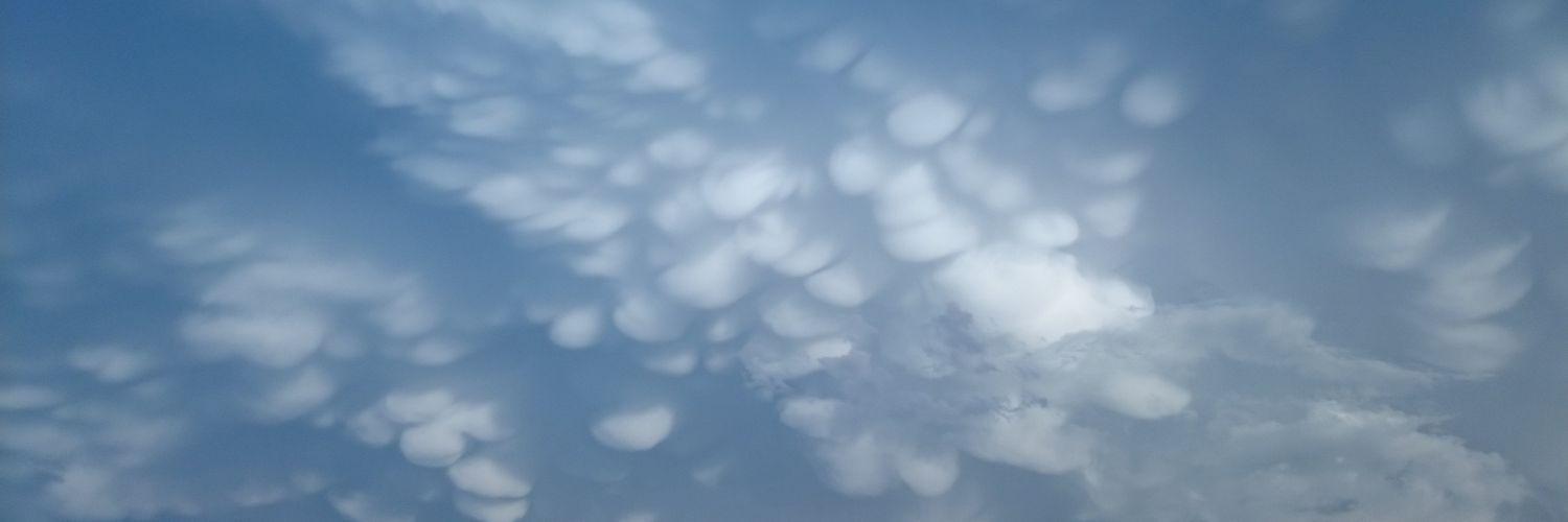 Chinara_N's profile banner image