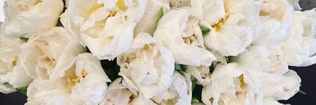ShaimaKhalidJ's profile banner image