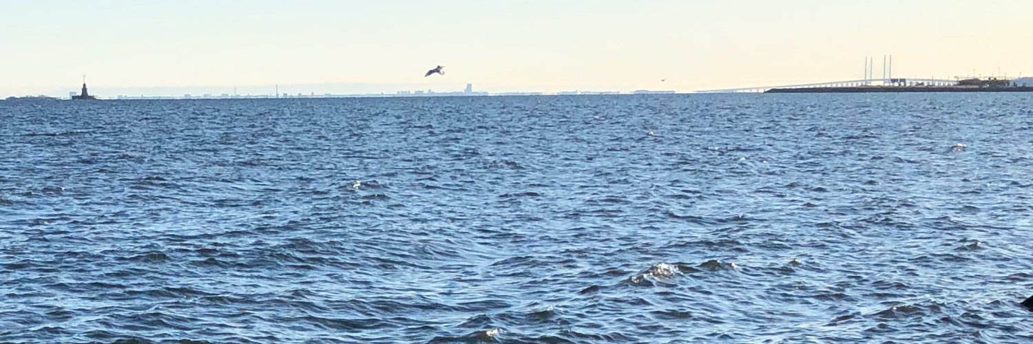 Claus Pedersen banner