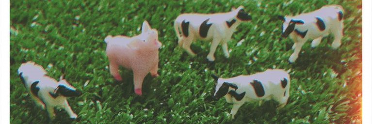 vv_ncp's profile banner image
