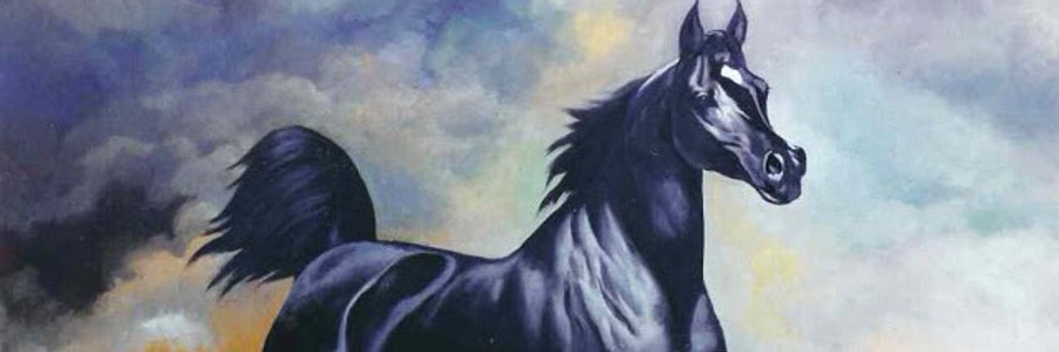bdr_46's profile banner image