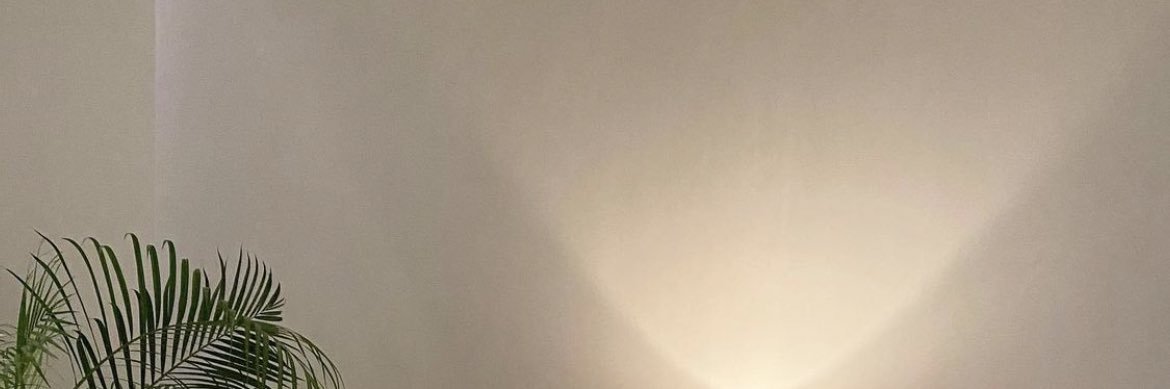 danielle banner