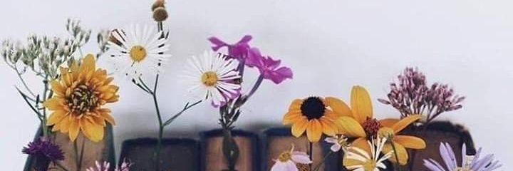 Jimenezarelyn's profile banner image