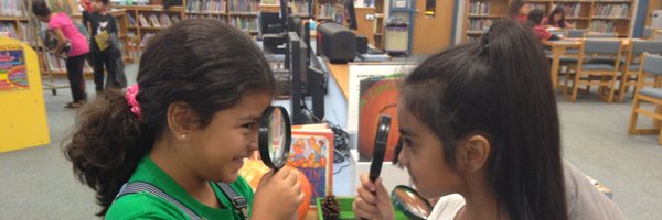 BES Library Profile Banner