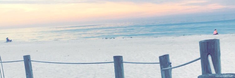 laurenschu_'s profile banner image