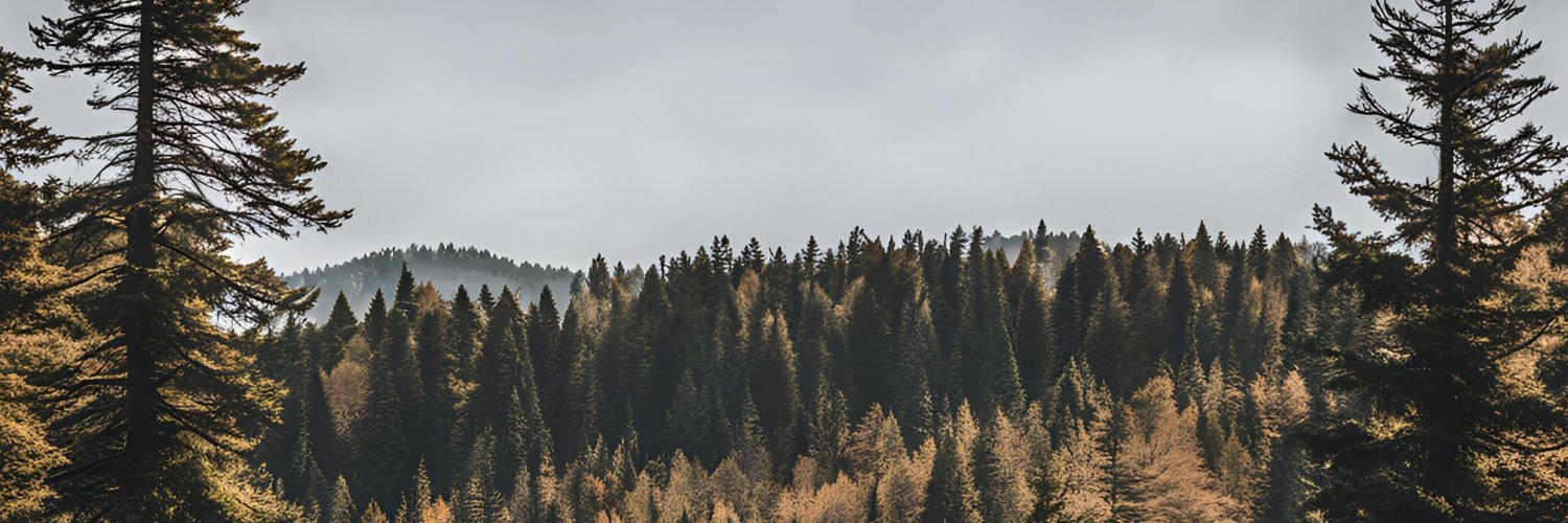 FalqoMusic's profile banner image