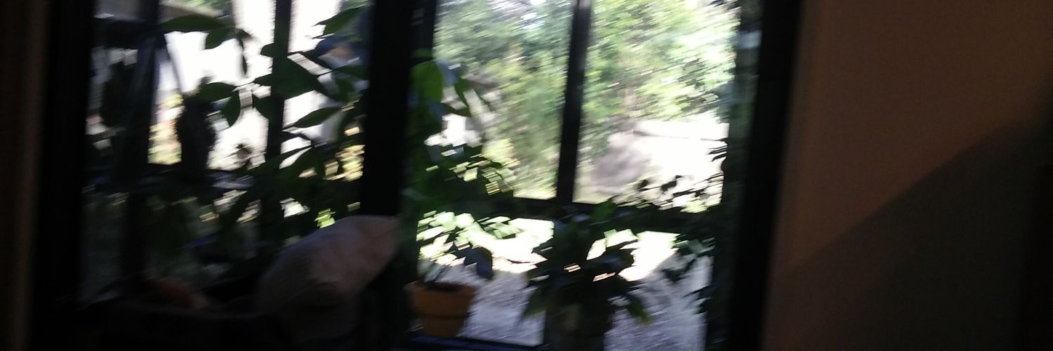 john_dipaolo's profile banner image