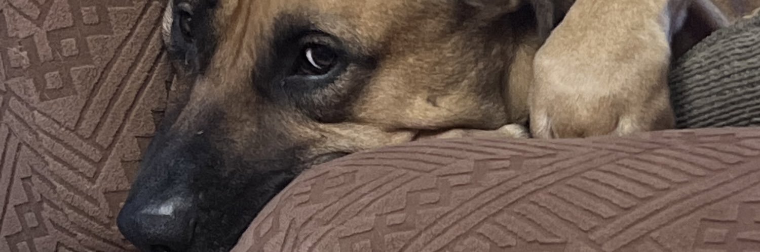 annmsutton03's profile banner image