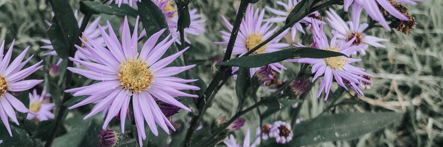 JenniferGiron_'s profile banner image