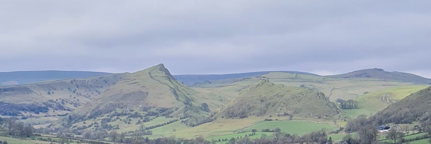 traceyhonest's profile banner image