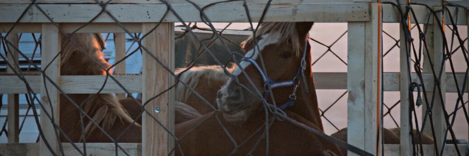 SPCA de Montréal banner