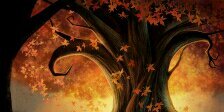 Franco_Desmodus's profile banner image