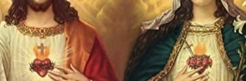 StephenCardoza3's profile banner image