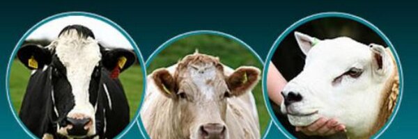 AgriSearchNI Profile Banner