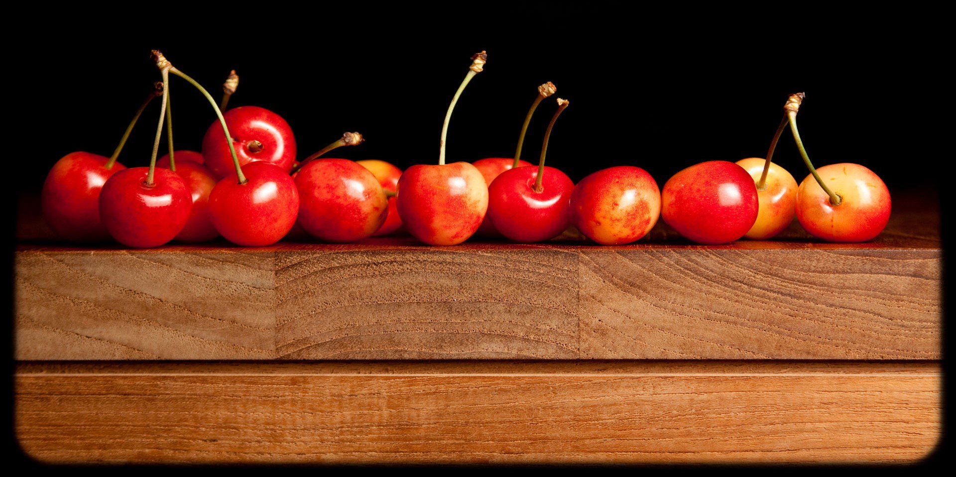 CанСанич banner