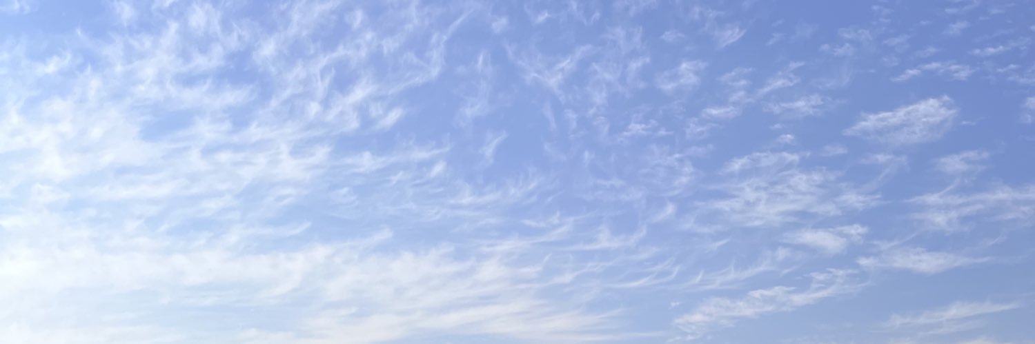 Esmeralda Salgado banner