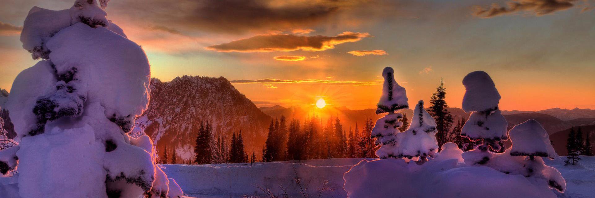 MicAlaska26's profile banner image