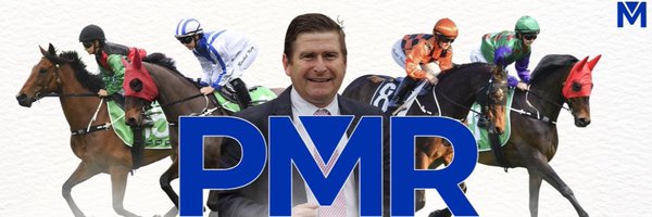 PWMSmurf Profile Banner