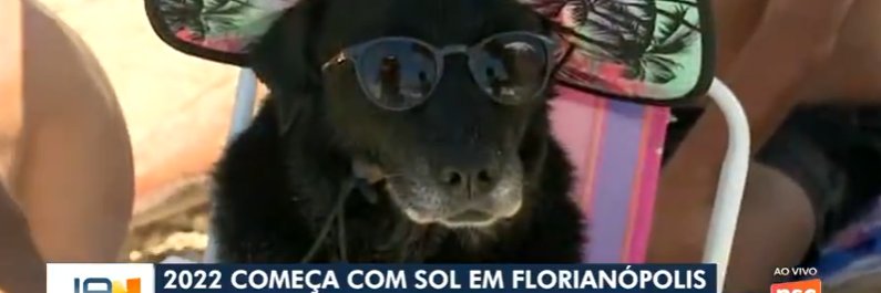 BBB acabou! Seja bem-vinda, Copa do Mundo! banner