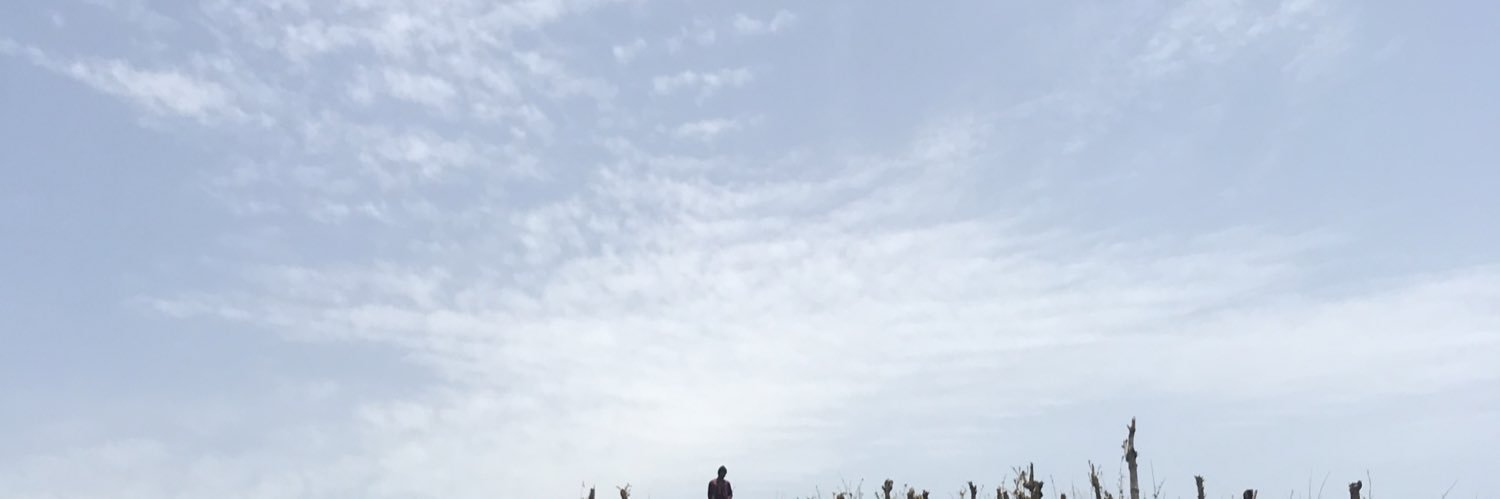 Joethore's profile banner image