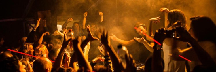 Warren Fellow banner