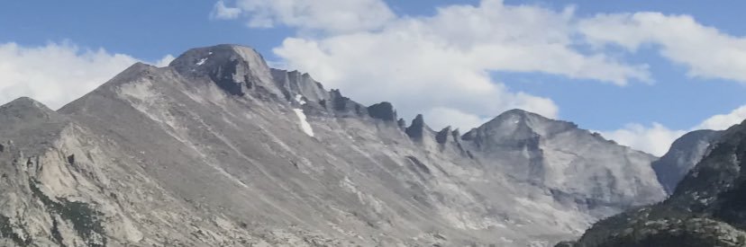 Bailey Barrett banner