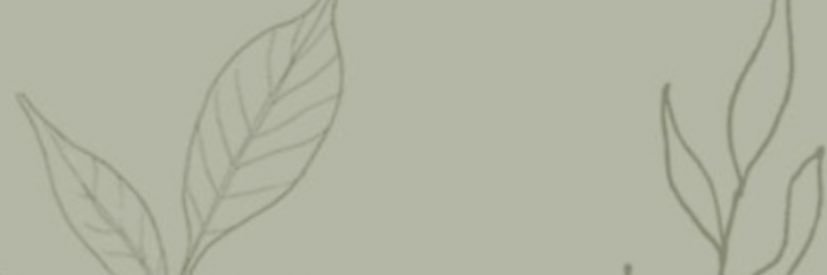 macie_mccuddin's profile banner image
