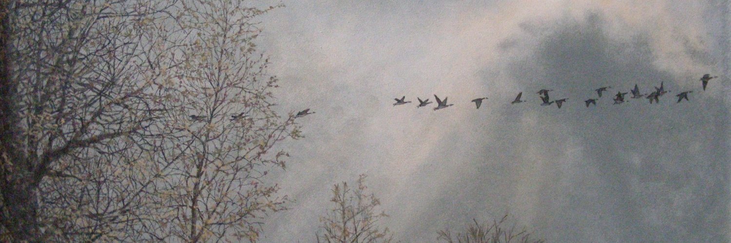 Jesselyn Cook banner