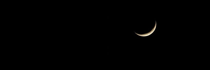 Sofi 🩷 banner