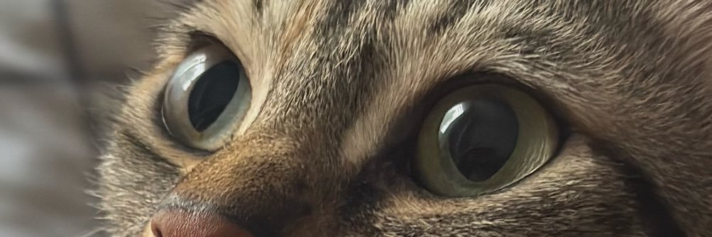 mericipeksoy's profile banner image